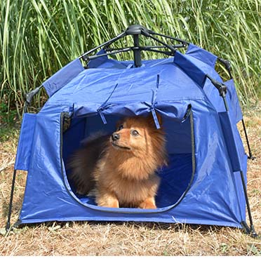 Tente pop-up pour animaux bleu - Sceneshot
