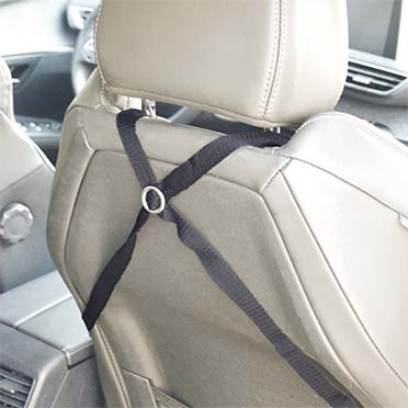 2-in-1 automand isofix zwart - Sceneshot 2