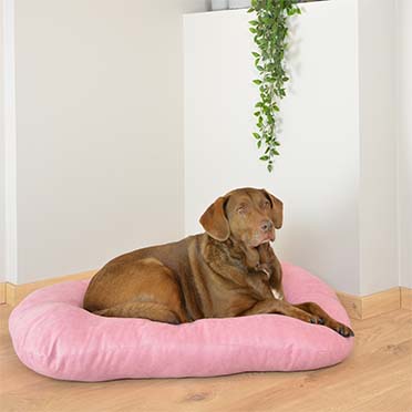 Cushion oval velvet pink - Sceneshot