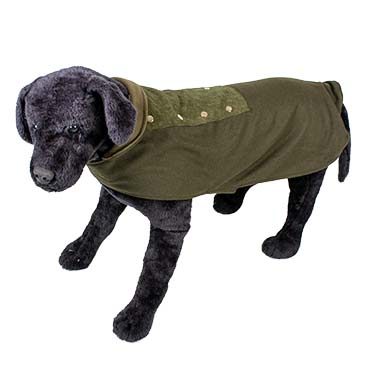 Manteau pour chien blazer vert - Sceneshot