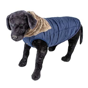 Dog jacket puffer blue - Sceneshot