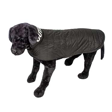 Manteau pour chien puffer outdoor vert - Sceneshot
