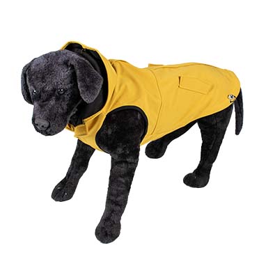 Dog jacket parka yellow - Sceneshot