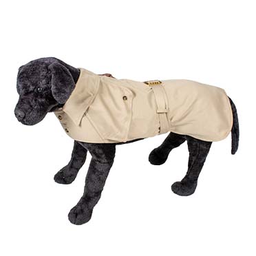 Hund mantel trenchcoat beige - Sceneshot