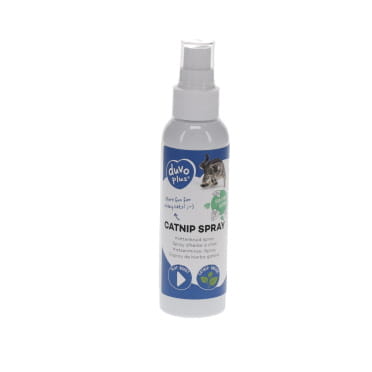 Herbe à chat en spray - <Product shot>