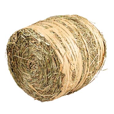 Play hay bale nature - <Product shot>