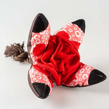 Snackspielzeug pitaya braun/rot - Detail 1