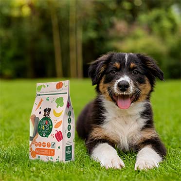 Garden Bites Puppy soft fruity friends Multicolor - Sceneshot 3