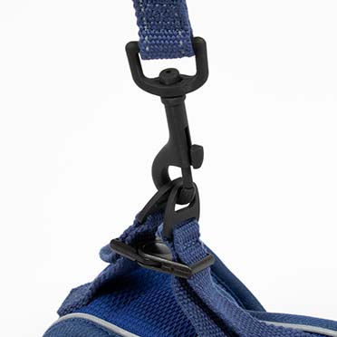 Ultimate fit kleine hond leiband Blauw - Sceneshot 2