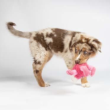 De Smurfen knuffelspeeltje Babypoot Roze - Sceneshot