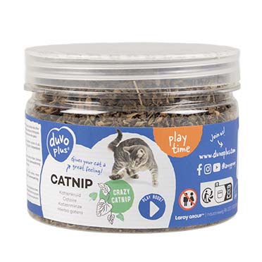 Catnip - Laroy Group