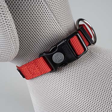 Halsband Classic Rood - Detail 1