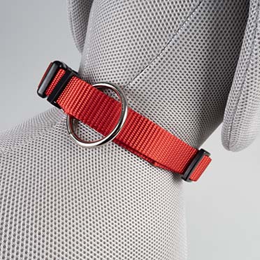 Halsband Classic Rood - Detail 2