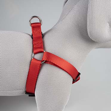 Harnas Step in Classic Rood - Detail 2