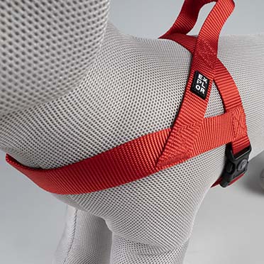 Harnas Chest Classic Rood - Detail 3