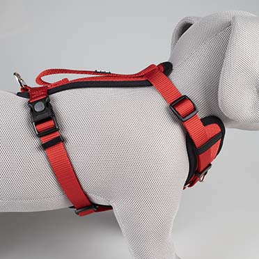 Harnas Y Classic Rood - Detail 1