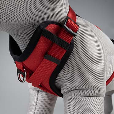Harnas Y Classic Rood - Detail 2