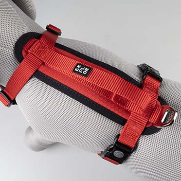 Harnas Y Classic Rood - Detail 3