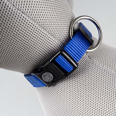 Collar Fashion Azul - Detail 2