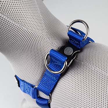 Harnas Step in Fashion Blauw - Detail 3