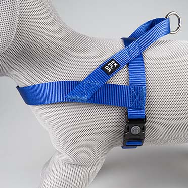 Harnas Chest Fashion Blauw - Detail 2