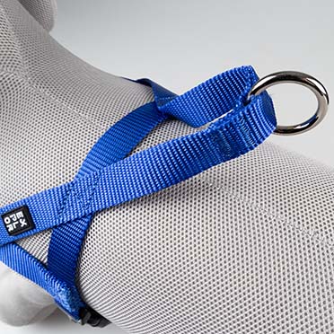 Harnas Chest Fashion Blauw - Detail 3