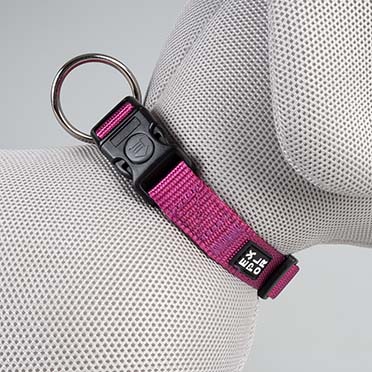 Halsband Fashion Fuchsia - Detail 1