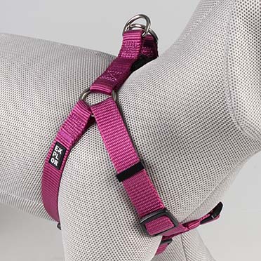 Harnas Step in Fashion Fuchsia - Detail 1