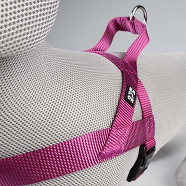 Harnas Chest Fashion Fuchsia - Detail 2
