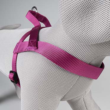 Harnas Chest Fashion Fuchsia - Detail 3