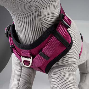 Harnas Y Fashion Fuchsia - Detail 3