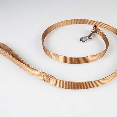 Leiband Fashion Bruin - Detail 1