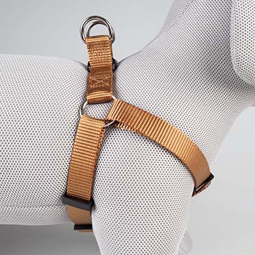 Harnas Step in Fashion Bruin - Detail 3