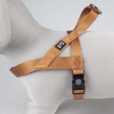 Harnas Chest Fashion Bruin - Detail 1