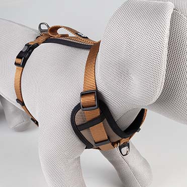 Harnas Y Fashion Bruin - Detail 1