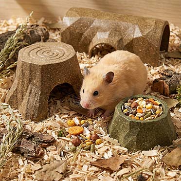 Garden bites Veggie Nibble Futternapf Braun - Sceneshot