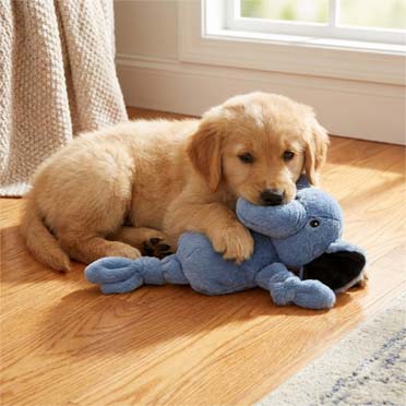 Plush Pawbies elephant crackle Blue - Sceneshot