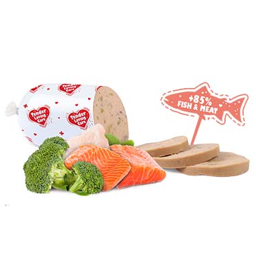 Worst voor honden met zalm & broccoli - Foodshot