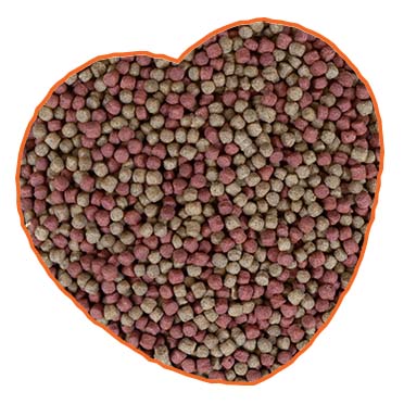 Vijver pellets kleurmix - Foodshot