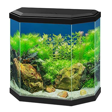 Aquarium aqua 30 led zwart - Product shot