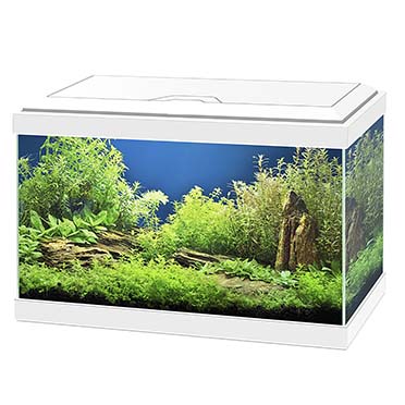 Aquarium aqua 20 led blanc - Product shot