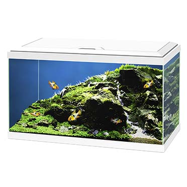 Aquarium aqua 60 led bio cf150 blanc - Product shot