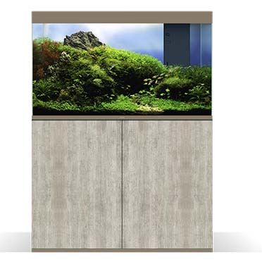 Kast Emotions Pro 100 Deep Mystic - Facing
