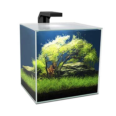 Aquarium cube 15 led - Product shot