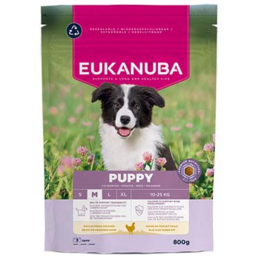 Euk dog puppy medium breed chicken - Facing