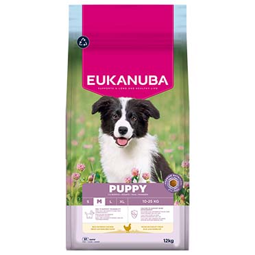 Euk dog puppy medium breed chicken - Facing