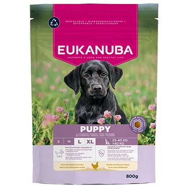 Euk dog puppy large breed chicken - Facing