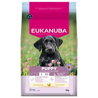 Euk dog puppy large breed chicken - Facing