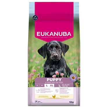 Euk dog puppy large breed chicken - Facing
