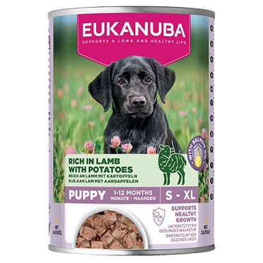 EUK dog wet puppy lamb - Facing